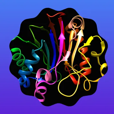 Deoxyribonuclease