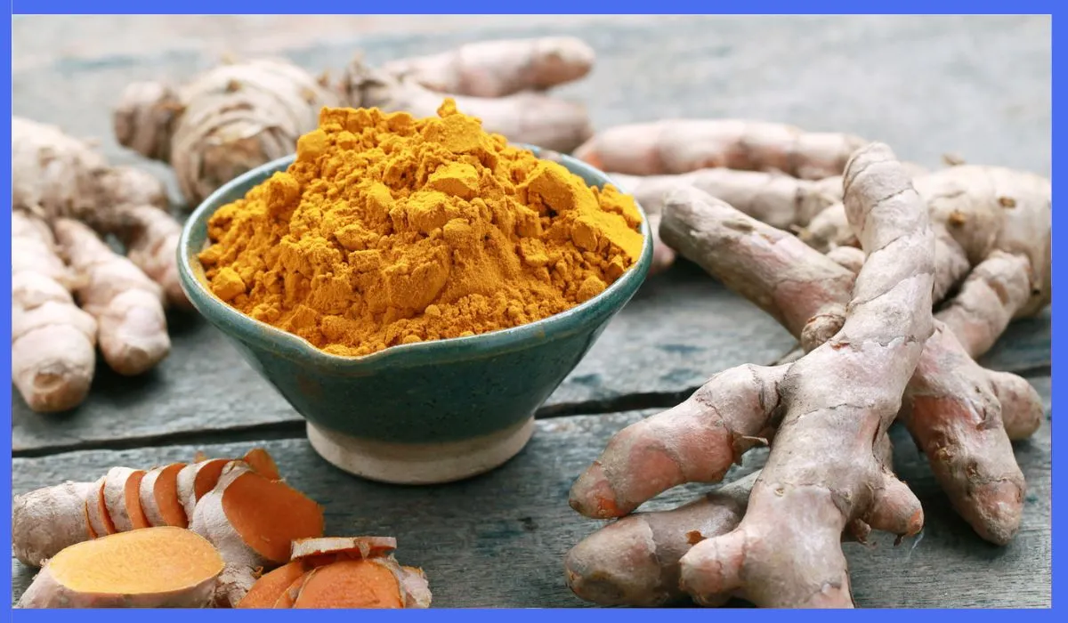 Differences Between Curcumin and Turmeric